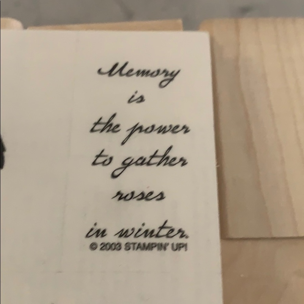 STAMPIN UP! Roses in Winter - Picture 5 of 6